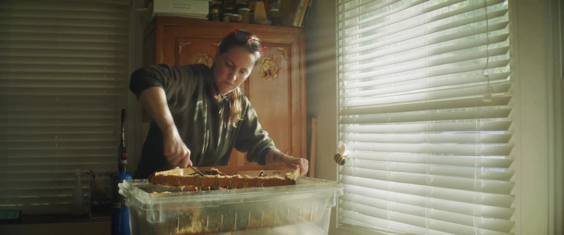 A woman is cutting a honey comb