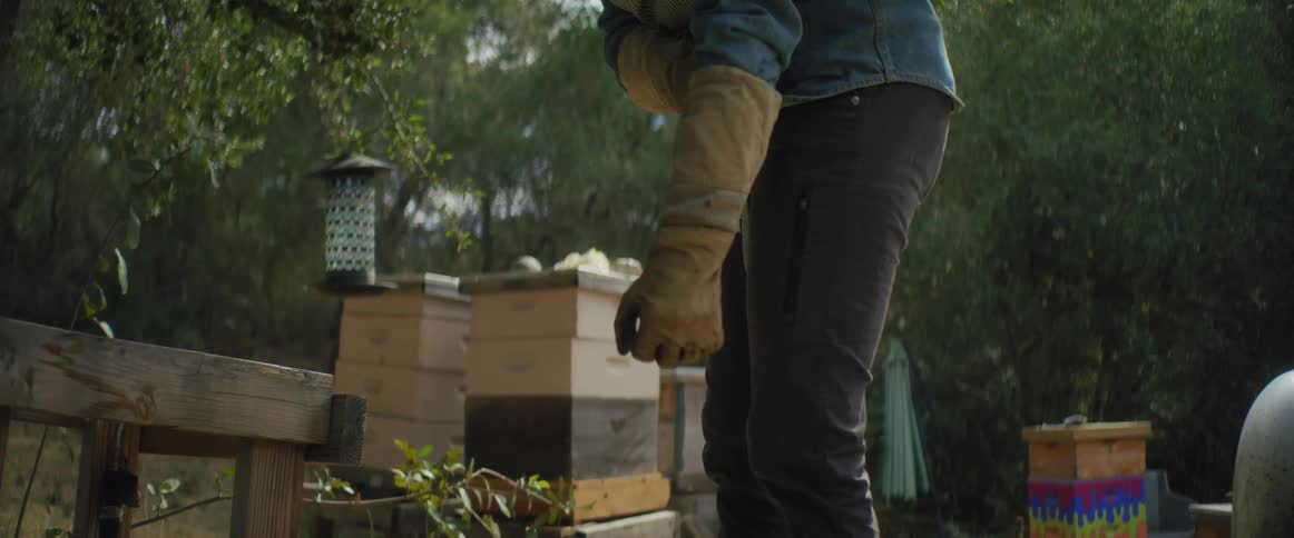 Female beekeeper with shirt and pants puts on gloves