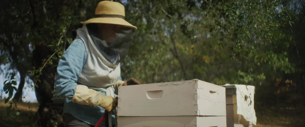 A person wearing a hat with a net while tending to bee boxes under trees