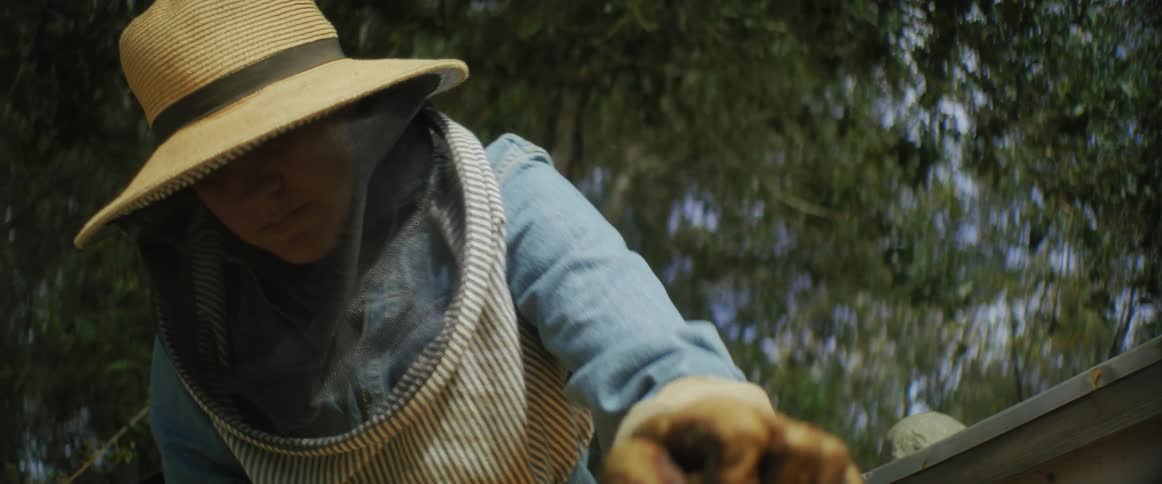 The beekeeper opens the apiary