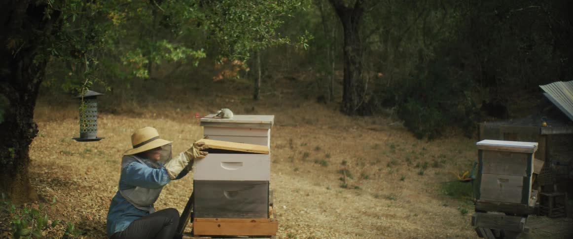 A beekeeper kneels down to check on a hive