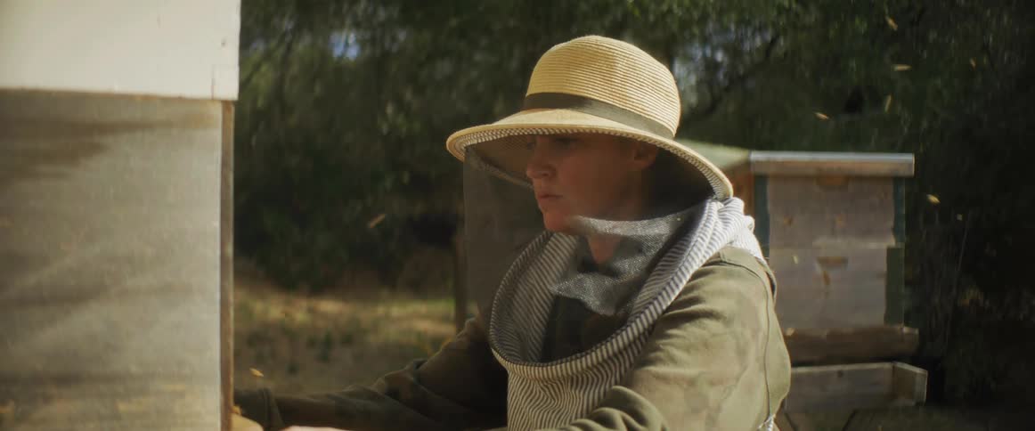 A beekeeper is working on the apiary