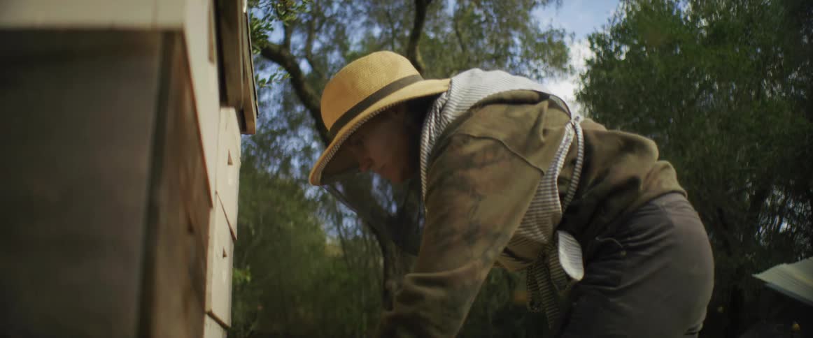 Beekeeper with bee suit looks down at bee box