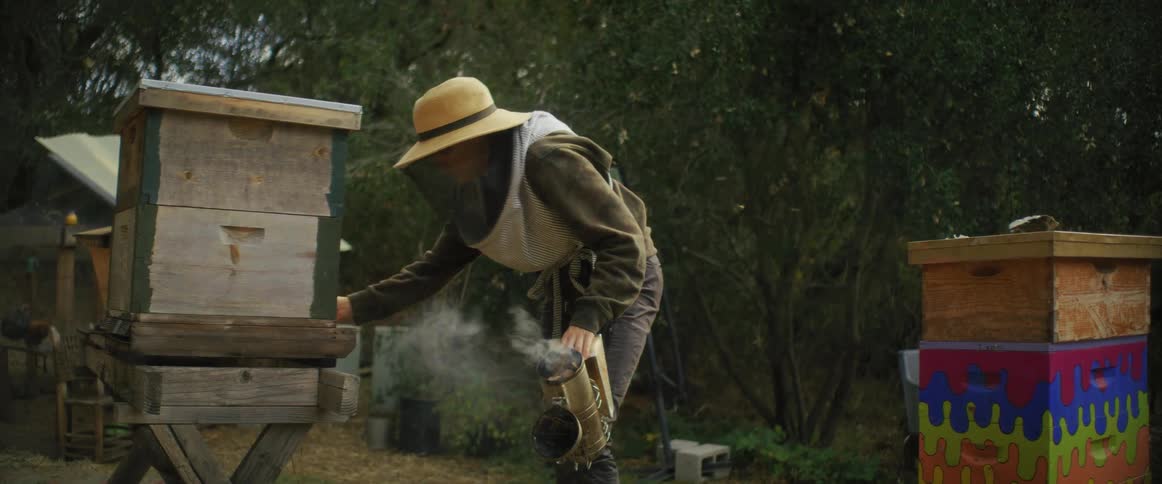 A beekeeper holding a smoke can tending to a bee box