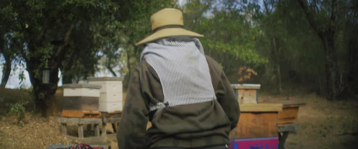 A beekeeper walking over to bee boxes placing a steamer on the platform