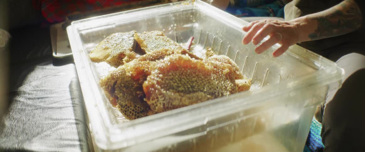 Person with tattoo places piece of honeycomb into large plastic bin holding other honeycombs