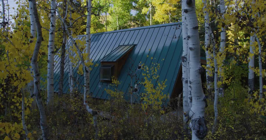Blue roofed house nestles among trees with fall foliage