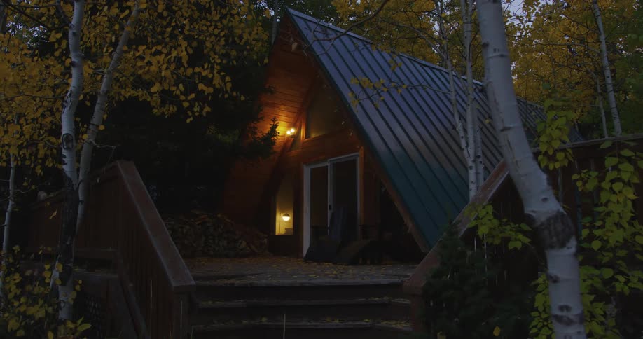 The lights are on in a house in the woods surrounded by birch trees