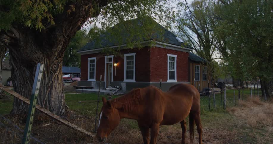 Exterior view of red cottage and brown horse in the field in the countryside