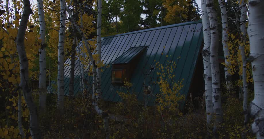 A house is in the woods surrounded by birch trees with leaves in fall colors