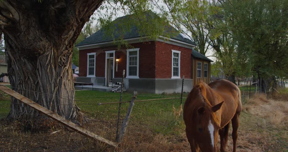 Exterior view of cottage next to farm and brown horse
