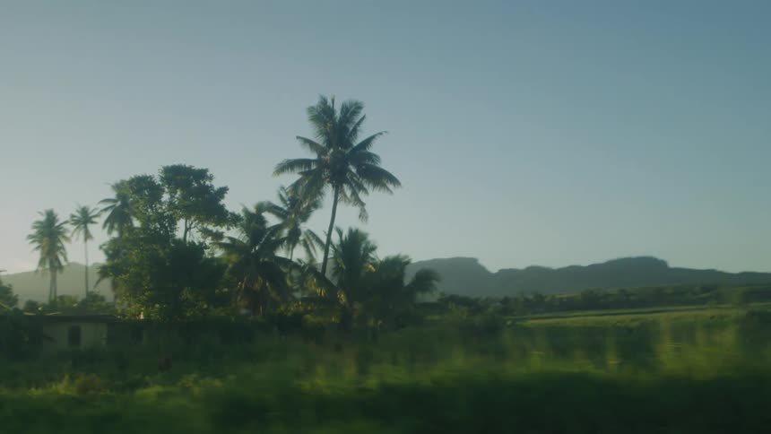 Grassland area seen from moving car at sunset