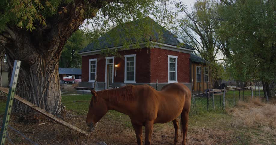 The horse is standing near the home