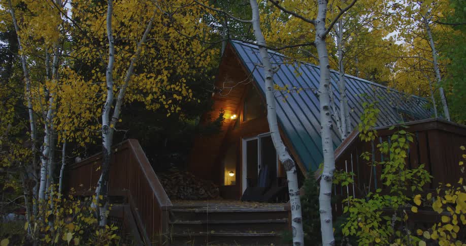 The lights come on in a house in the woods surrounded by birch trees