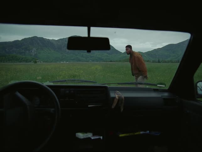 Man stands in field bordering mountains looking before hitting his own head as he walks around to get back into car