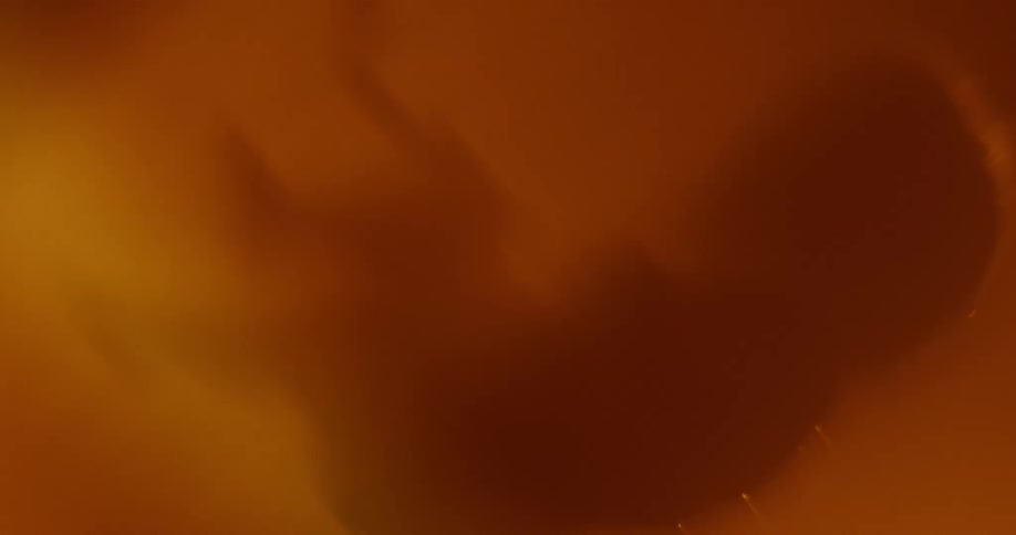 The shadowy form of a fetus in a womb