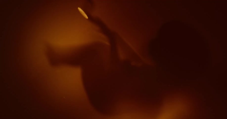 A baby is in the womb