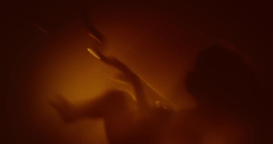 Floating embryoback lit into silhouette by light moves