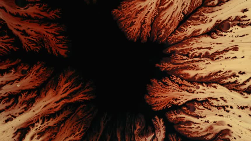 Liquid flows down branches forming and filling dark center