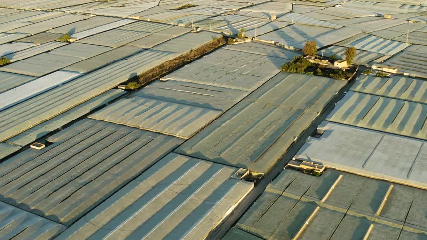 White and grey roofs of greenhouses cover a large area