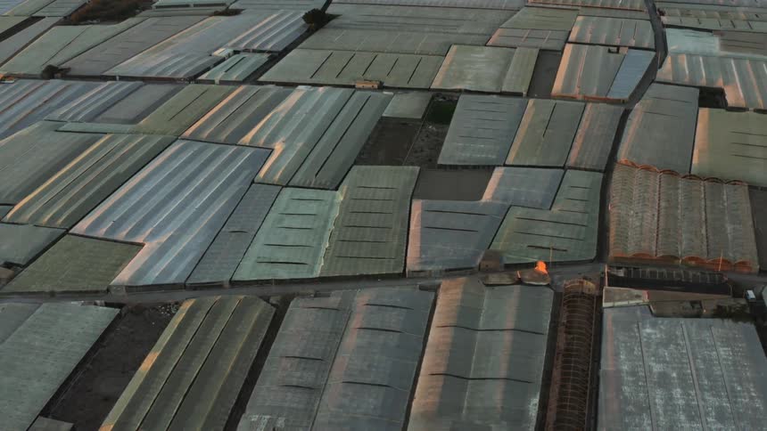 This is where all European fruit and vegetables come from