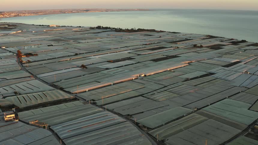 Grey plastic roofs of greenhouses are packed tight together on the sea shore