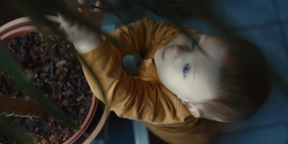 A baby is playing with a plant inside of the room