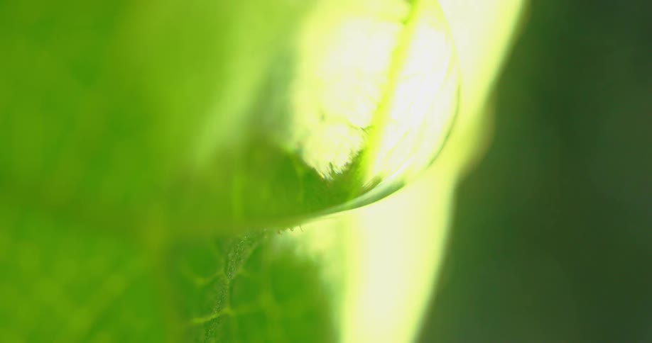 Abstract footage of a bright light passing over a droplet of water