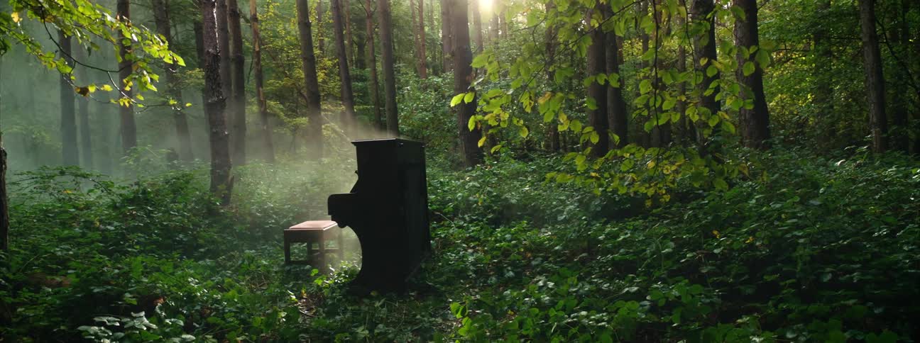 Smoke rises from a piano in a forest