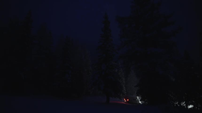 Car slowly driving on a rural road through the pine tree forest at winter in the night
