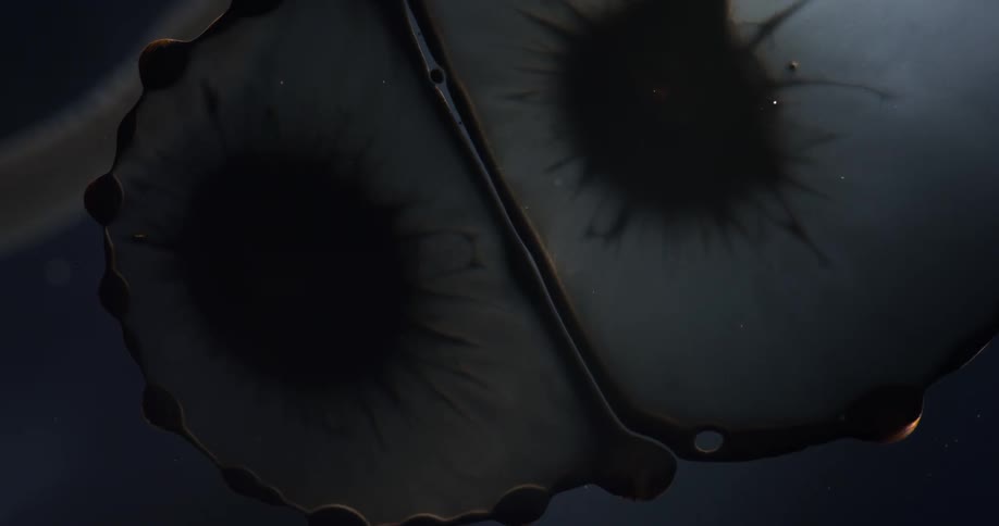Shapes move like cells divide