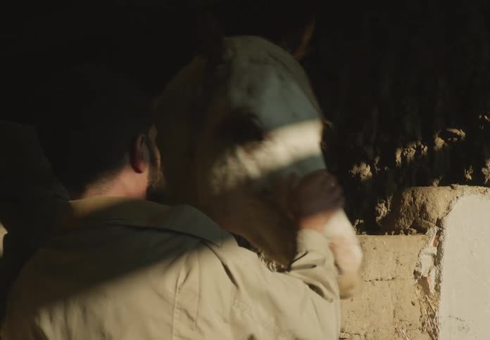 A man pets his horse in a stable