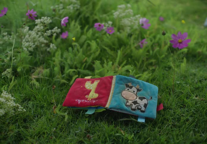 A children book laying over the green grass next to purple wild flowers