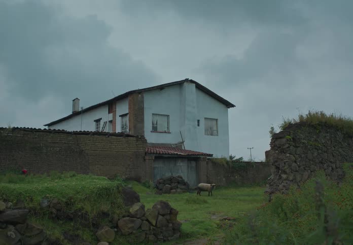 Farmer runs with a herd of sheep on the field behind a house in the countryside