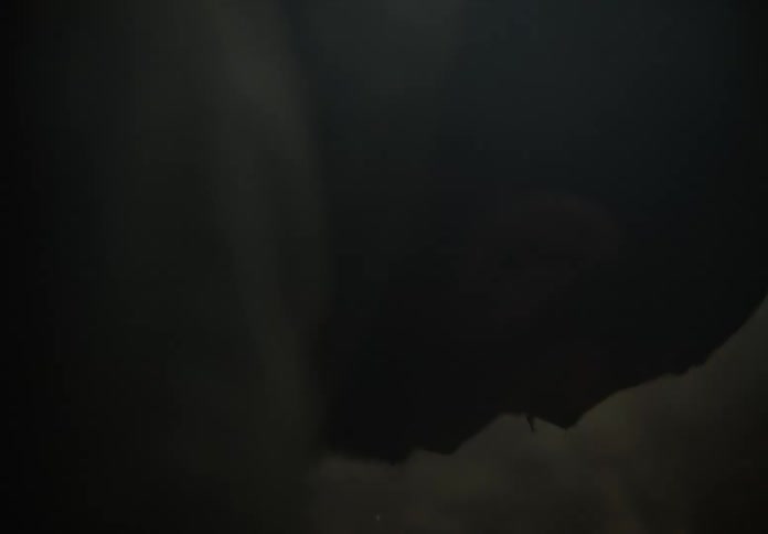 A man on the ground in a smoky room slowly gets up and looks around