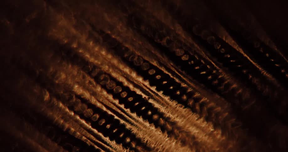 Reflections of golden amber lights over a metallic textured surface