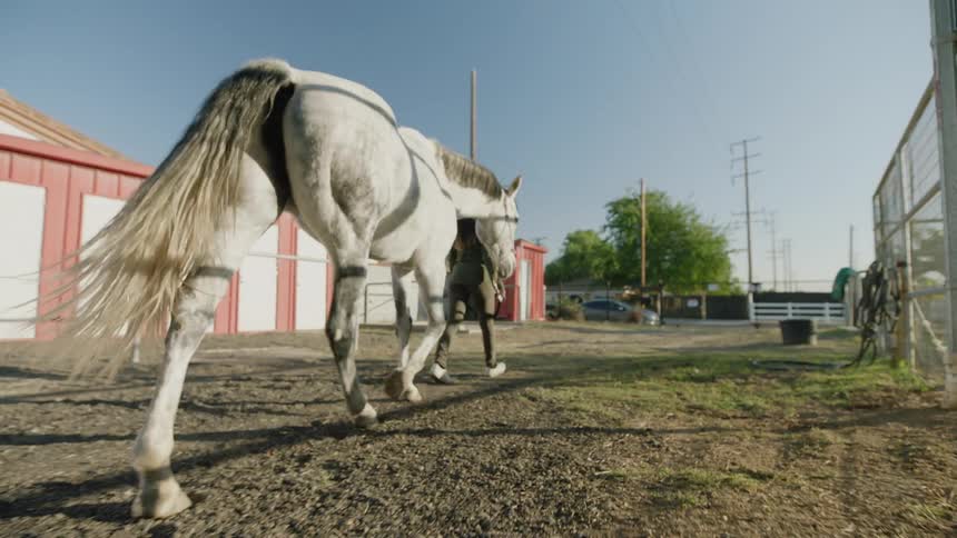 Woman leads pale horse past corral