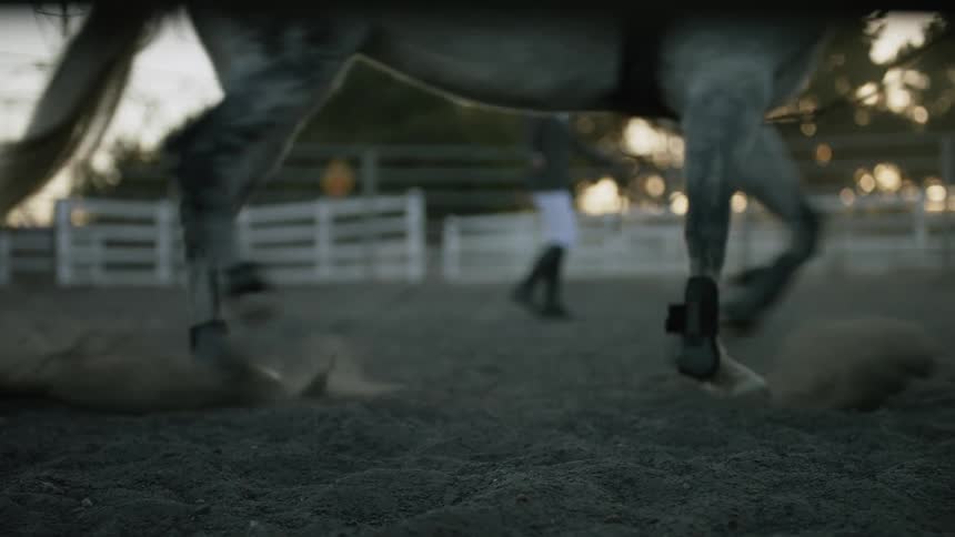 A young white woman is walking her horse outdoors
