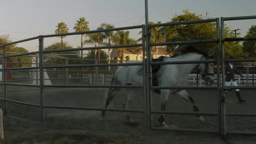 A young person is walking the horse in the middle of the day