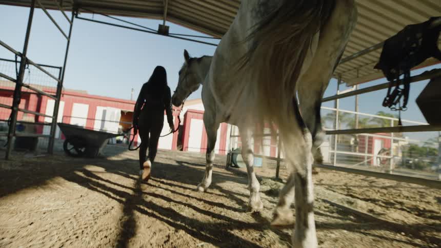 Woman leads horse through covered area toward stables