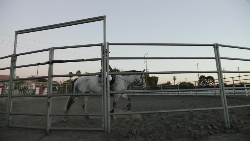 A girl rides a horse around a pasture surrounded by electrical towers