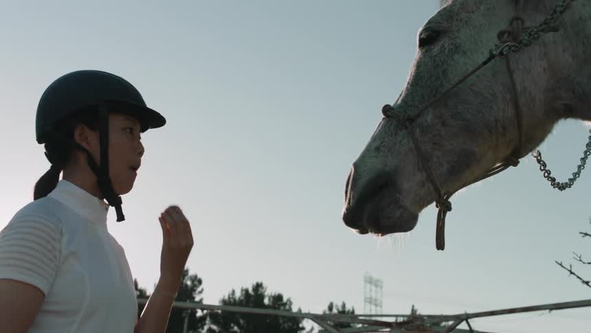 Female equestrian eats while sharing food with horse on sunny day