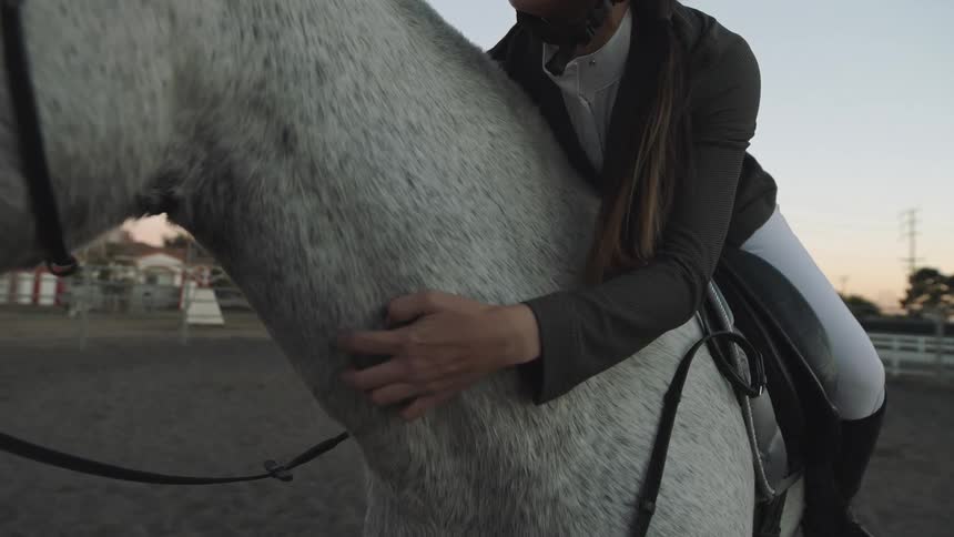 Female jockey riding a standing horse gently caressing its neck