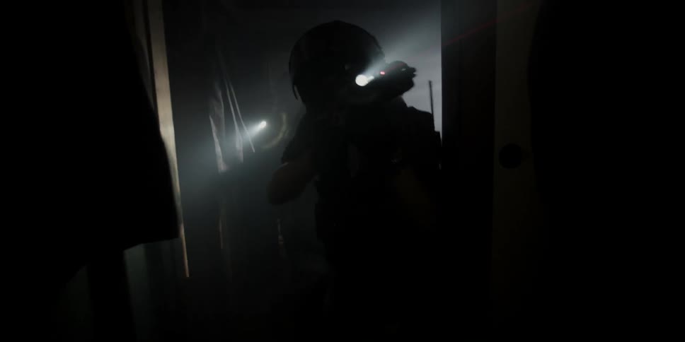 Police charge into a dark home