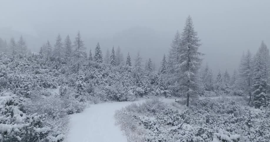 Aerial view of it snowing in a forest area