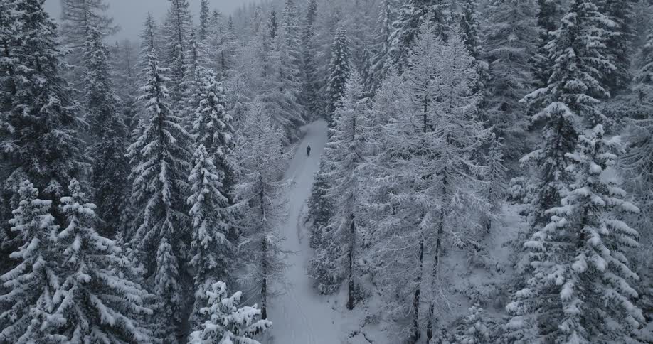 An aerial view of a lone person hiking through a snowy forest in winter