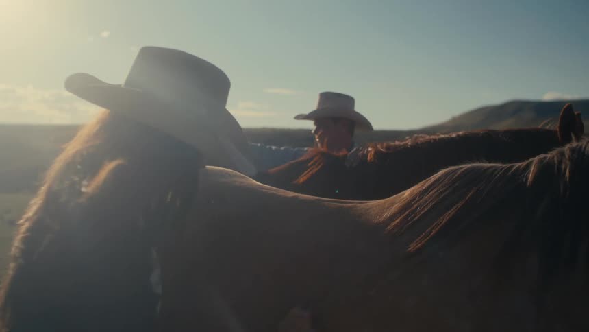 Couple of ranchers brushing horses on the ranch at morning