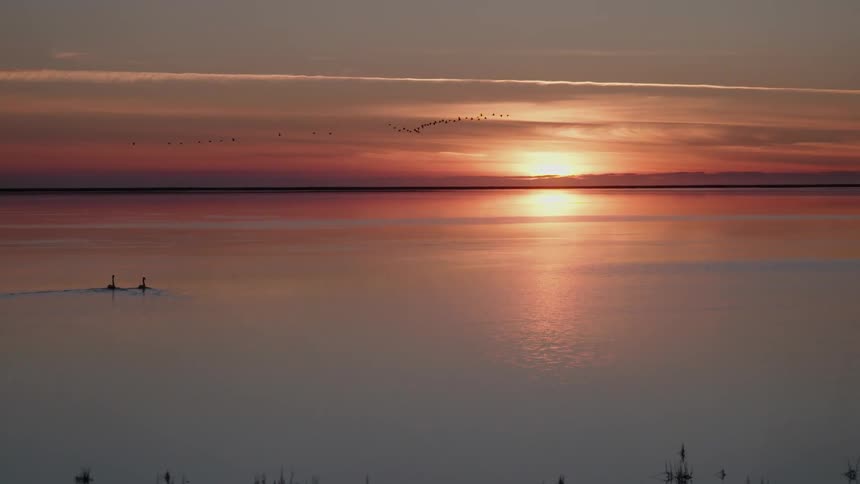 Flock of birds flying over the calm surface of a lake at sunset