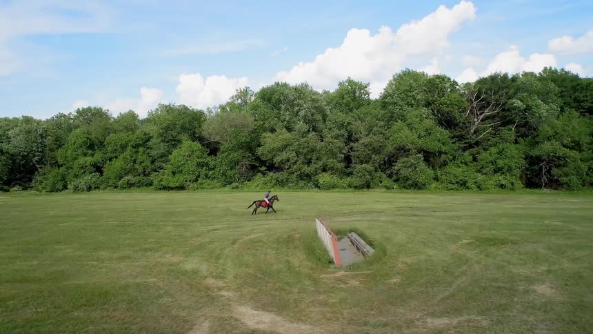 A person rides a horse through a field