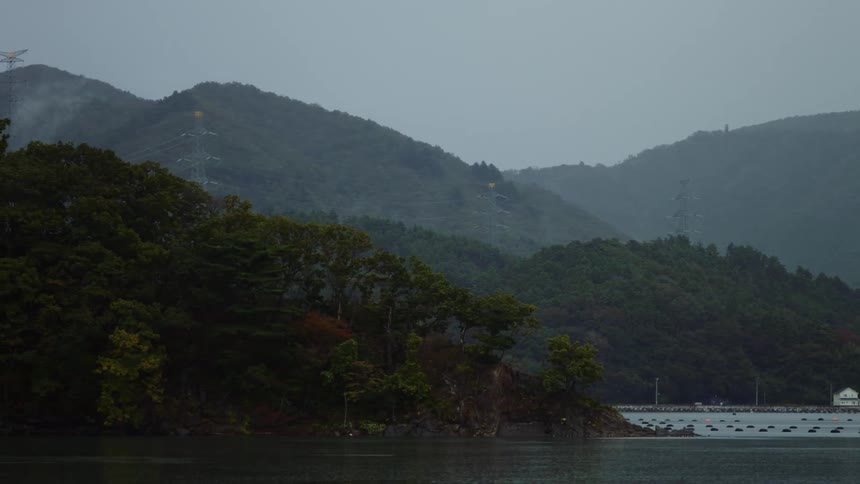 The view is of the forest area in the middle of the day time